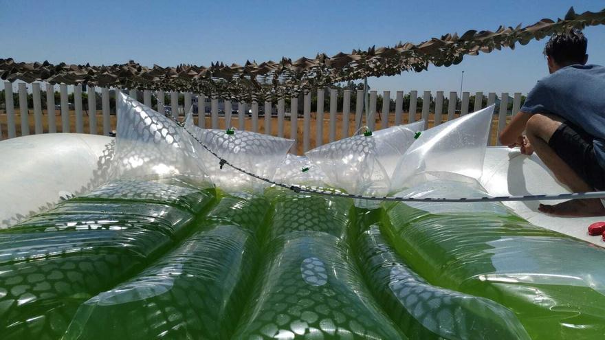 Revoluciona tu explotación con tecnología biológica