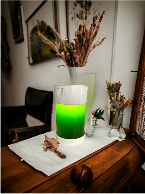 Decoración viva que mejora tu calidad de vida