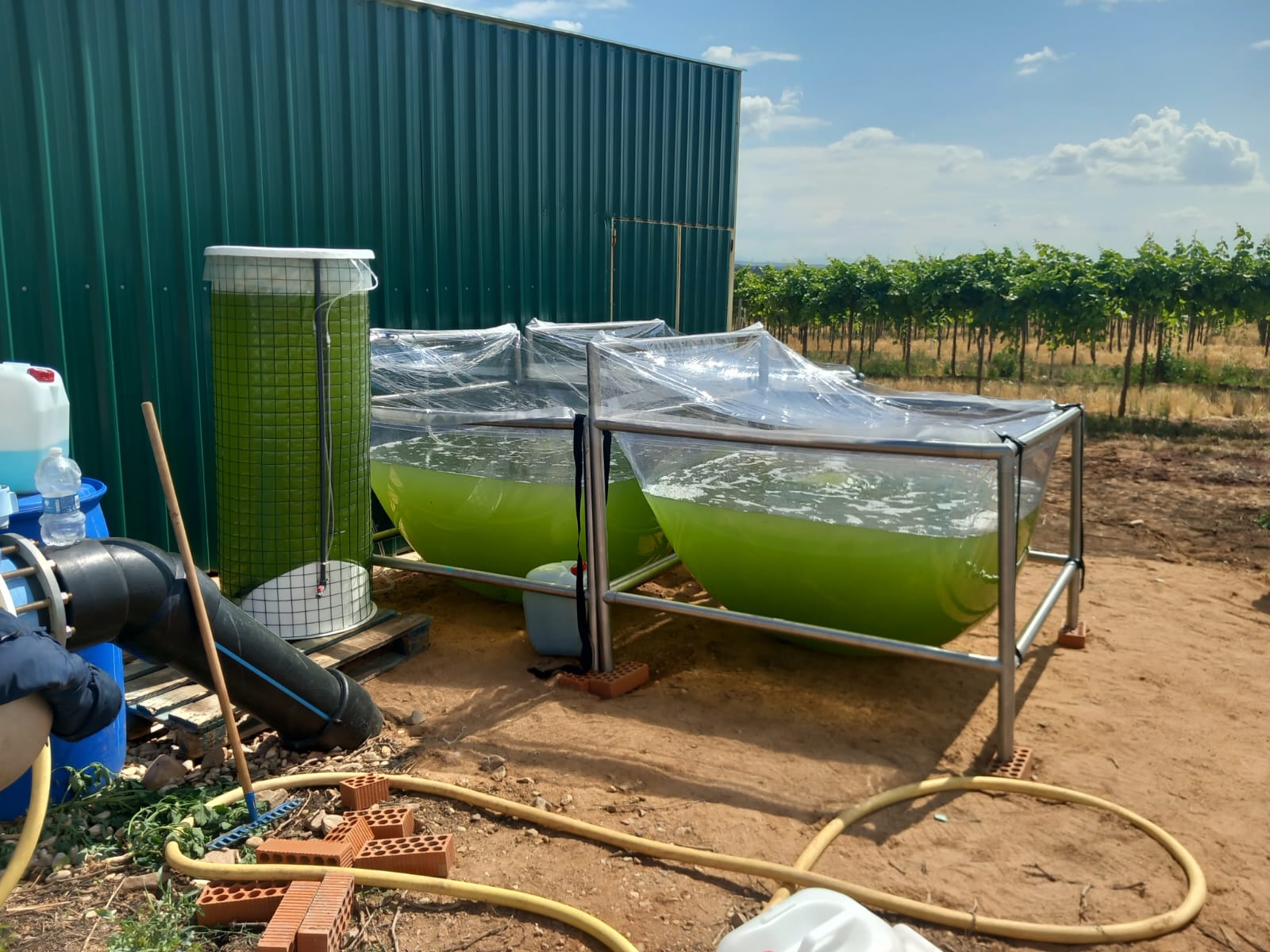 Recupera tus recursos naturales con microalgas