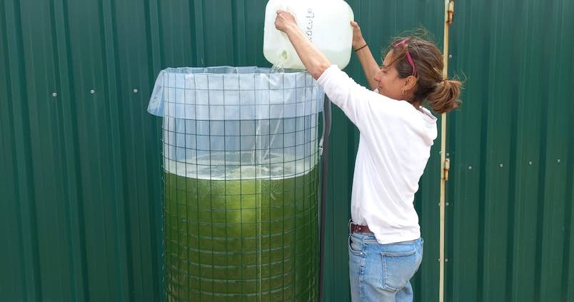 Microalgas al servicio del suelo, el agua y el aire